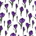 Pattern with hand drawn crocus2